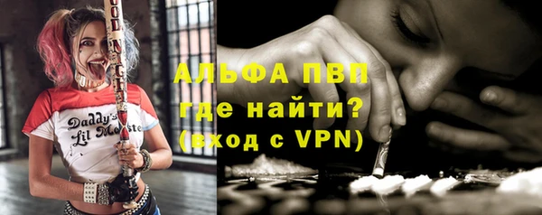 стафф Володарск