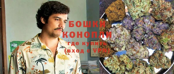 стафф Магадан