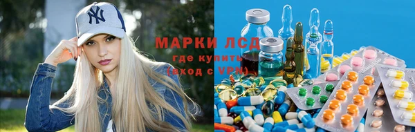 гашик Магас