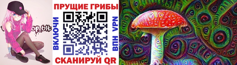 купить наркотик  ссылка на мегу маркетплейс  Галлюциногенные грибы Psilocybine cubensis  Оренбург 