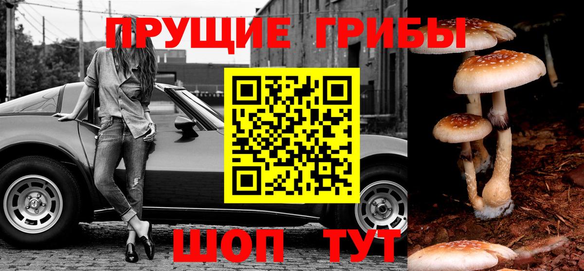 Псилоцибиновые грибы Magic Shrooms Оренбург