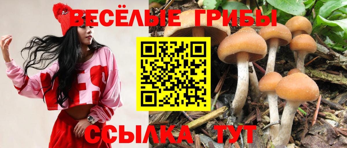 Галлюциногенные грибы прущие грибы  Вход с VPN  Оренбург 